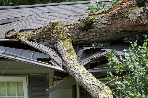 Cost of Storm Remediation in La Quinta