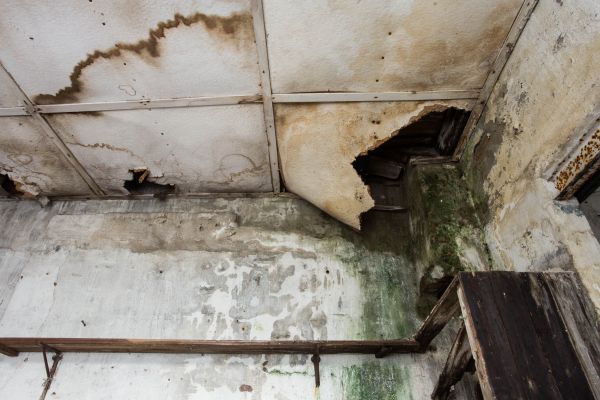 Water Damage Service in La Quinta