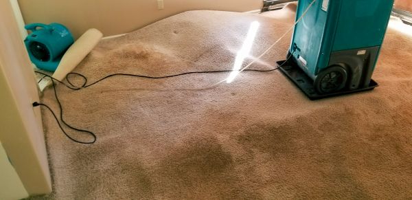 Flood Damage Cleanup in La Quinta