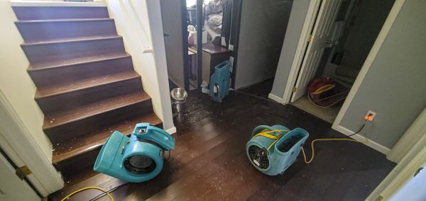 Water Damage Remediation in La Quinta