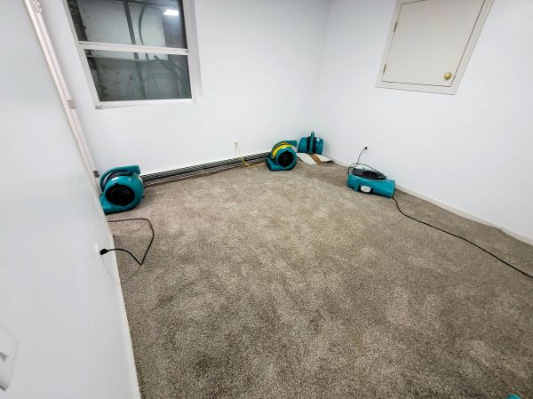 Cost of Flood Restoration Service in La Quinta
