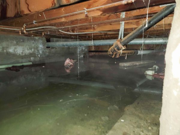 Cost of Crawl Space Drying in La Quinta
