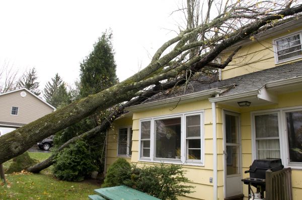 Hurricane Damage Repair in La Quinta